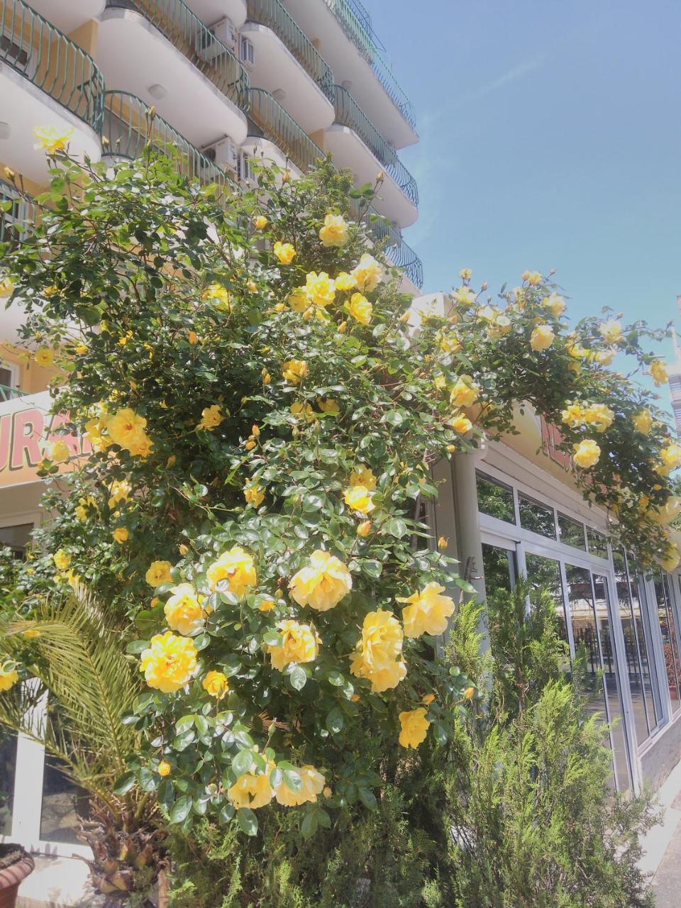 Hotel Yantra Sunny Beach Exterior foto